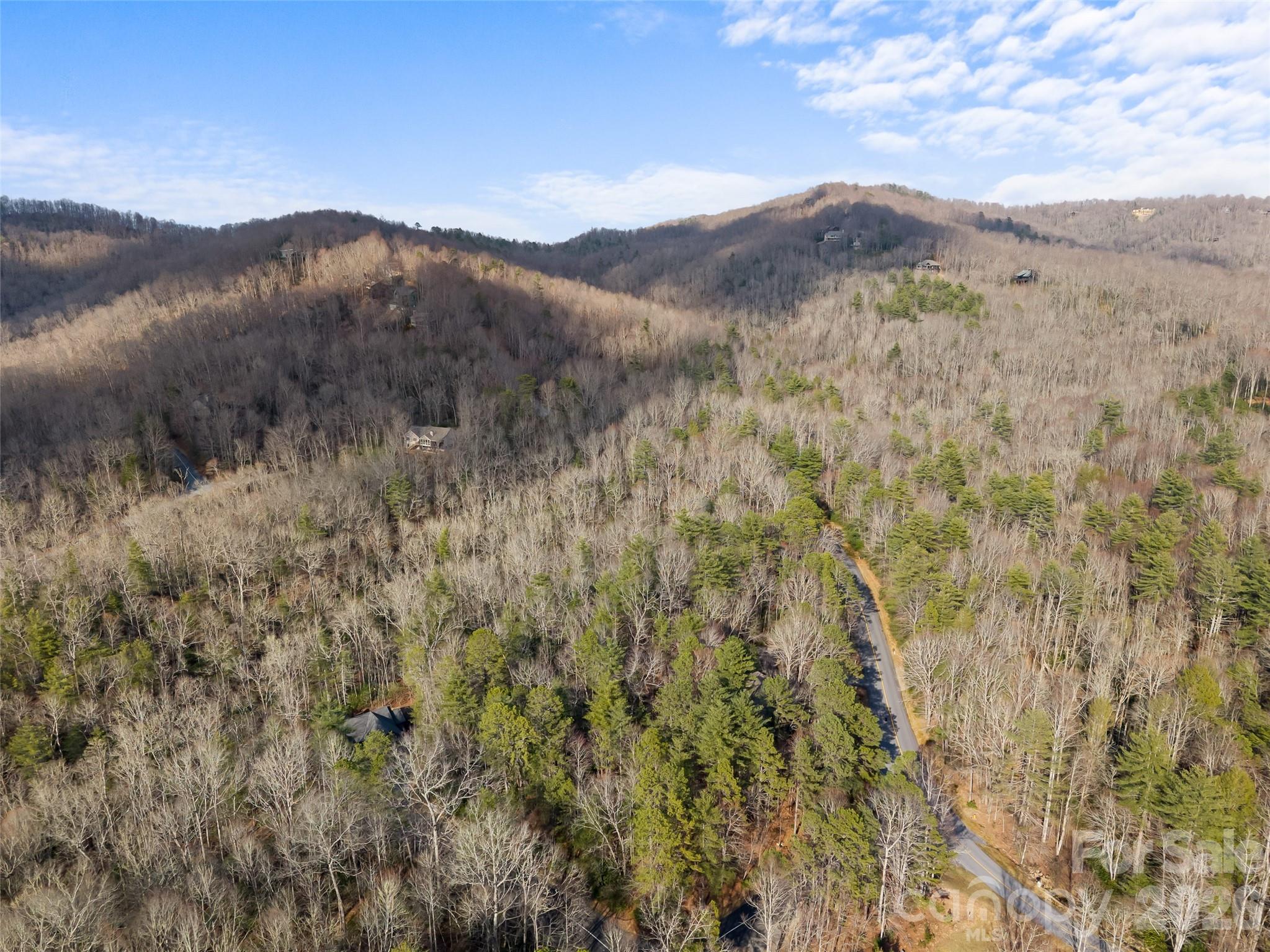 Tbd Tsvwagi Court Brevard NC 28712