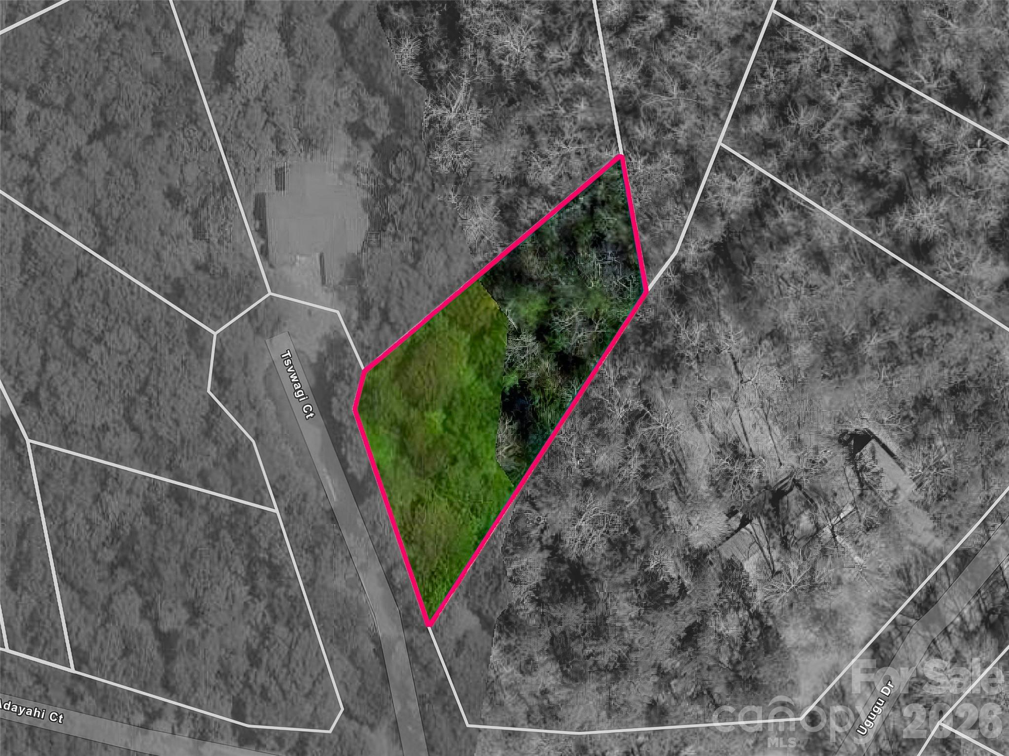 Tbd Tsvwagi Court Brevard NC 28712
