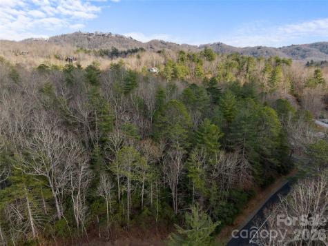 Tbd Tsvwagi Court Brevard NC 28712