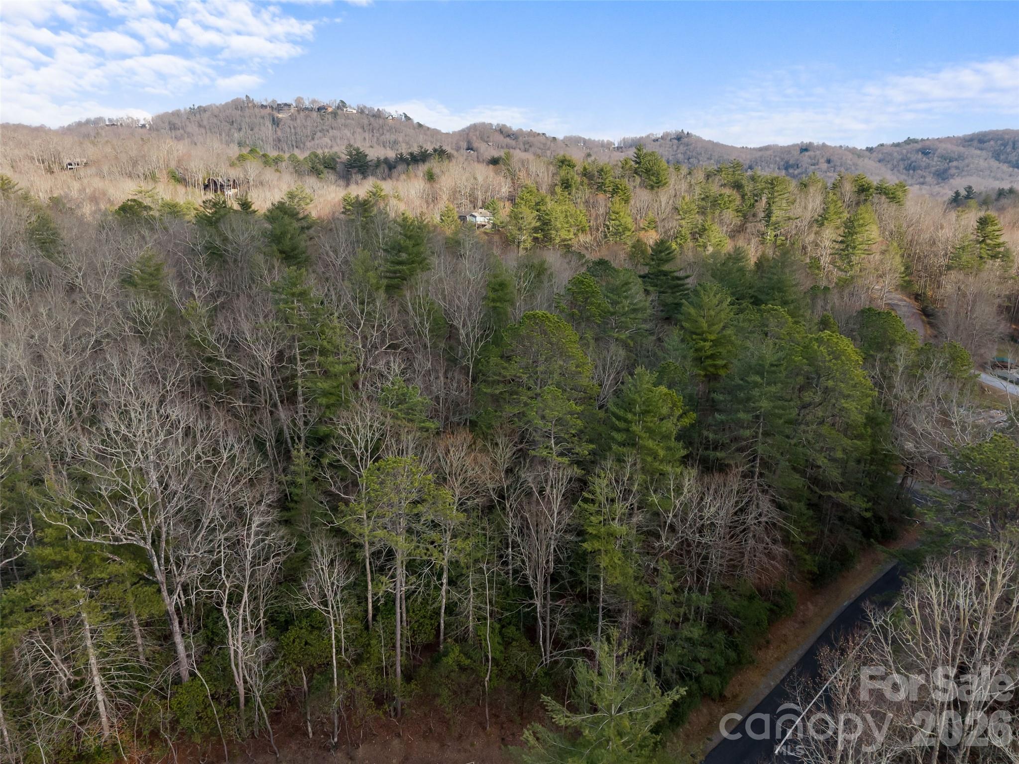 Tbd Tsvwagi Court Brevard NC 28712