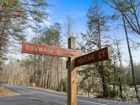 Tbd Tsvwagi Court Brevard NC 28712
