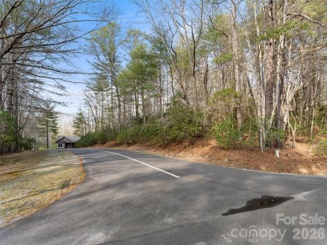 Tbd Tsvwagi Court Brevard NC 28712