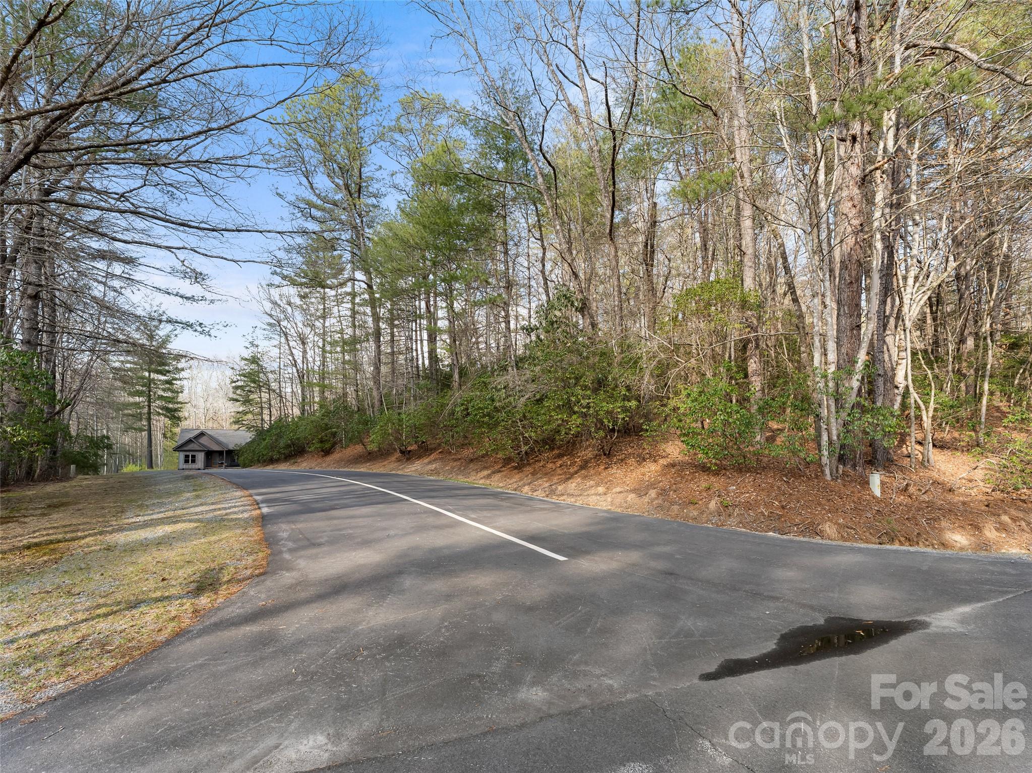 Tbd Tsvwagi Court Brevard NC 28712