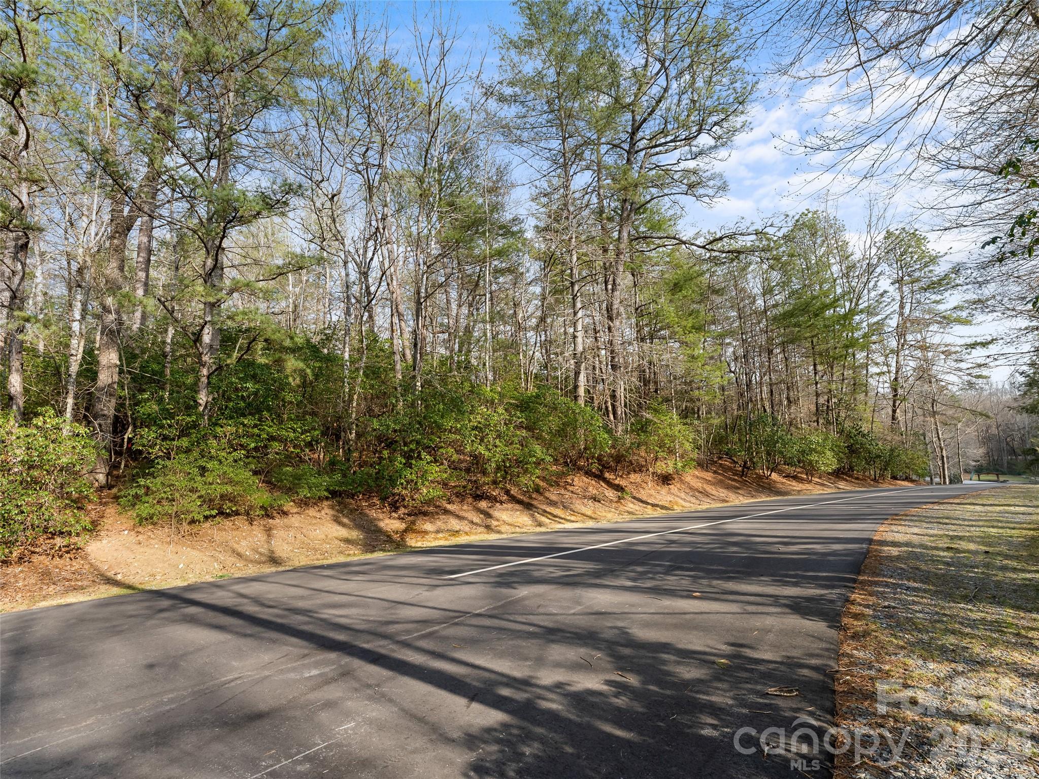 Tbd Tsvwagi Court Brevard NC 28712