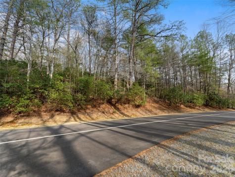 Tbd Tsvwagi Court Brevard NC 28712