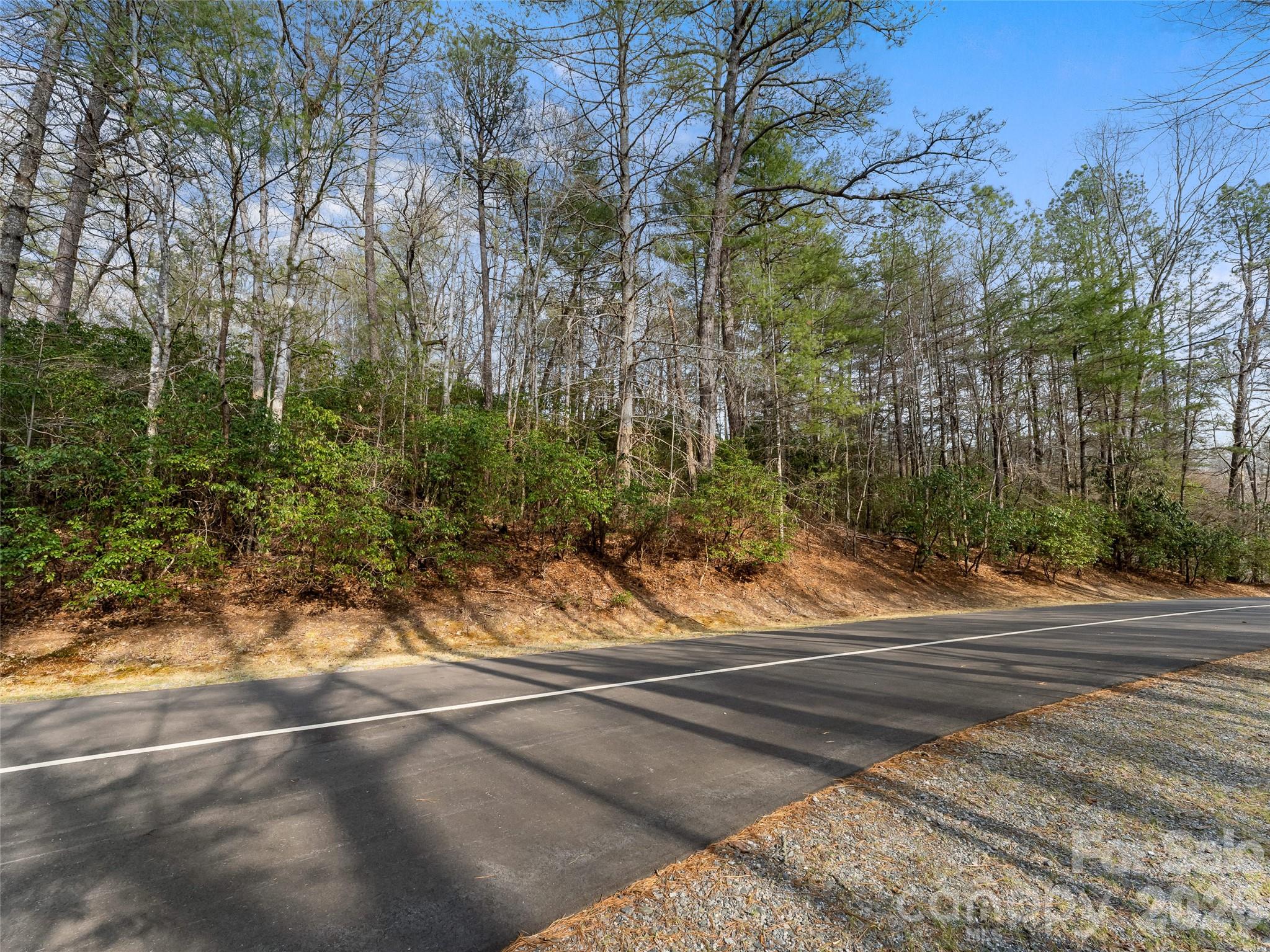 Tbd Tsvwagi Court Brevard NC 28712