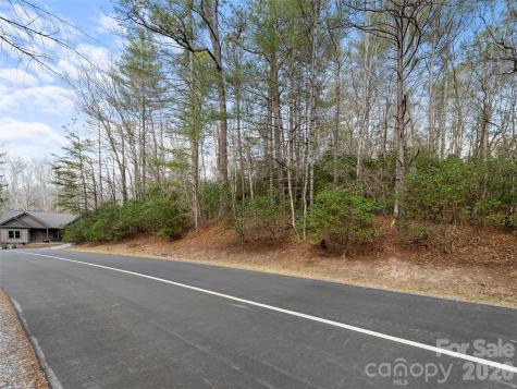 Tbd Tsvwagi Court Brevard NC 28712