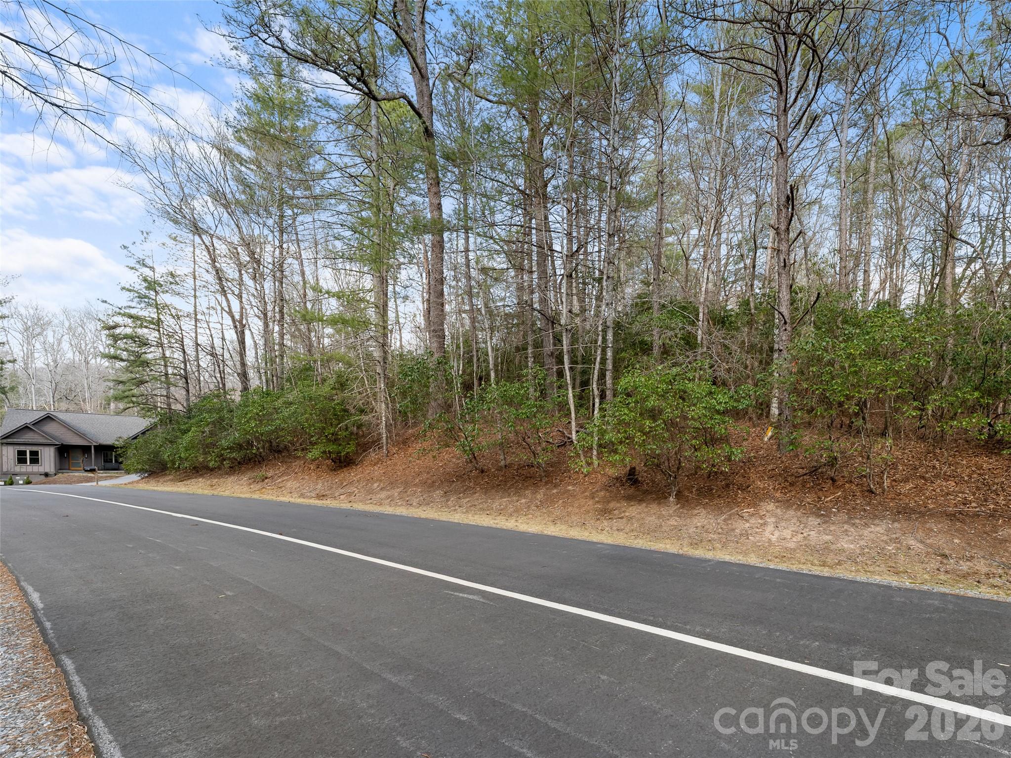Tbd Tsvwagi Court Brevard NC 28712