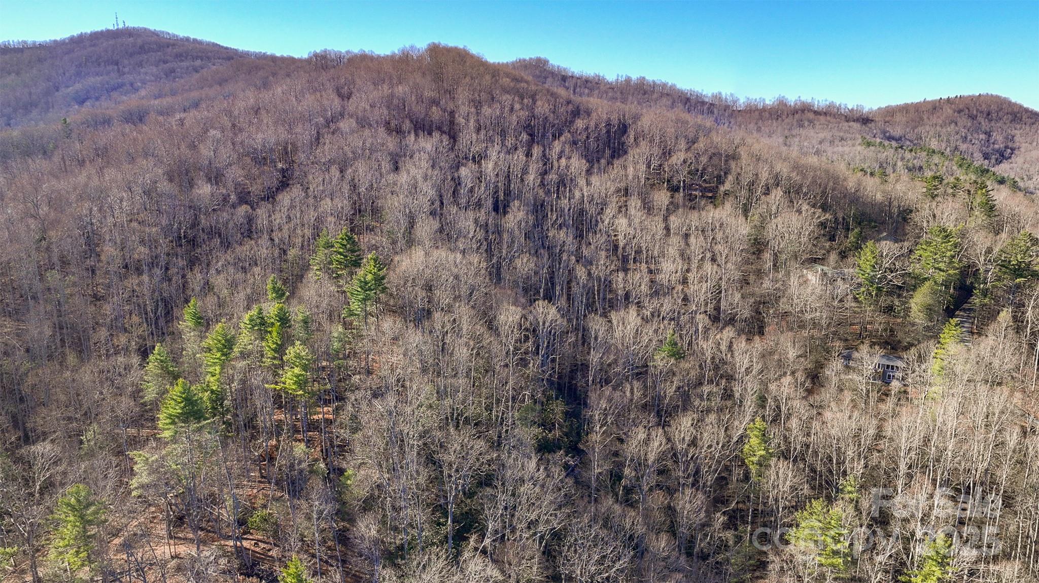 Tbd Longview Road Spruce Pine NC 28777