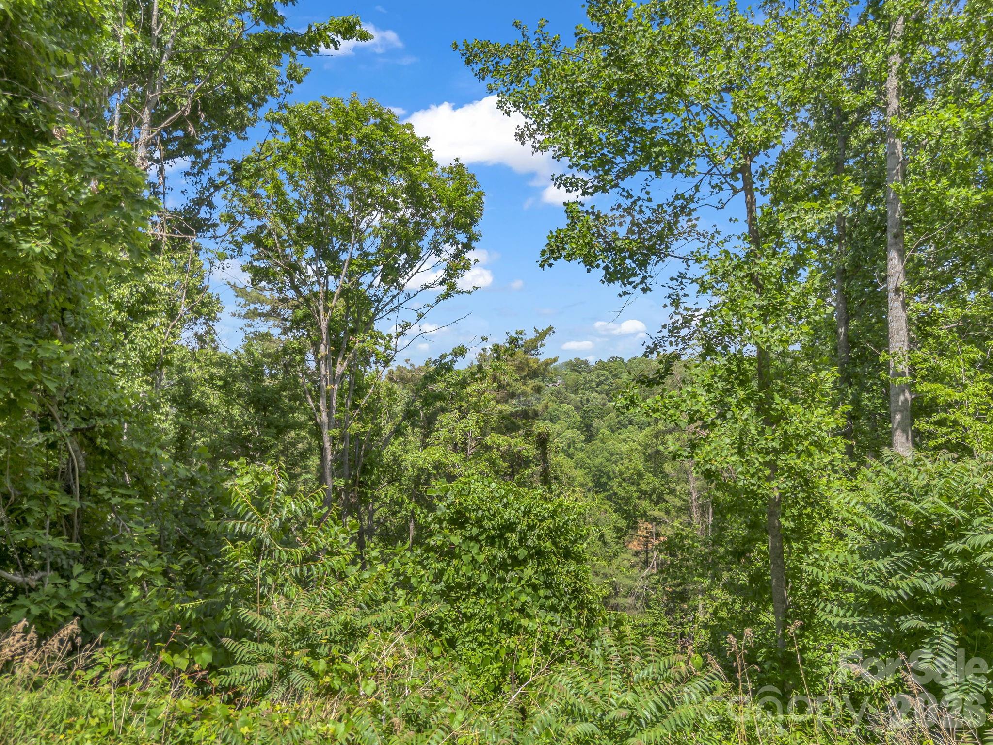 97 Longspur Lane Asheville NC 28804