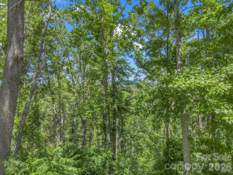 97 Longspur Lane Asheville NC 28804