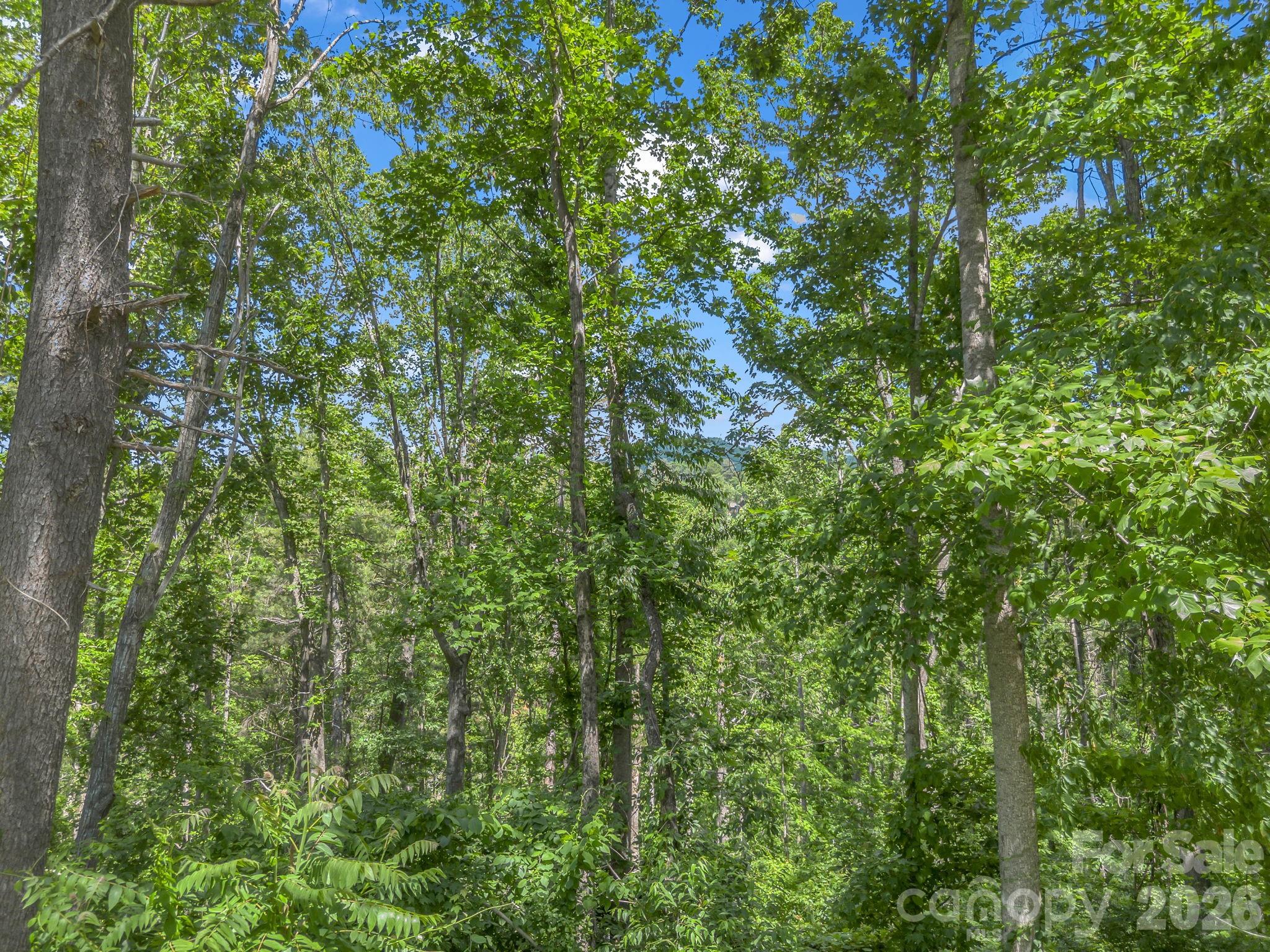 97 Longspur Lane Asheville NC 28804