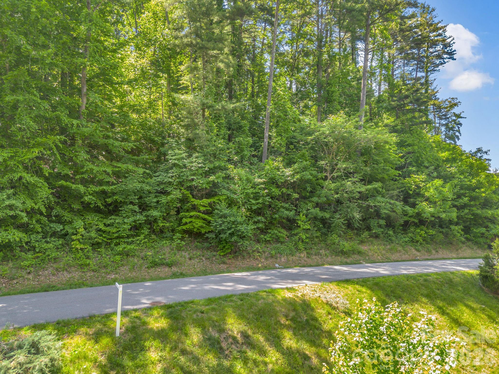 97 Longspur Lane Asheville NC 28804