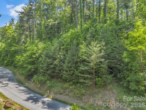 97 Longspur Lane Asheville NC 28804