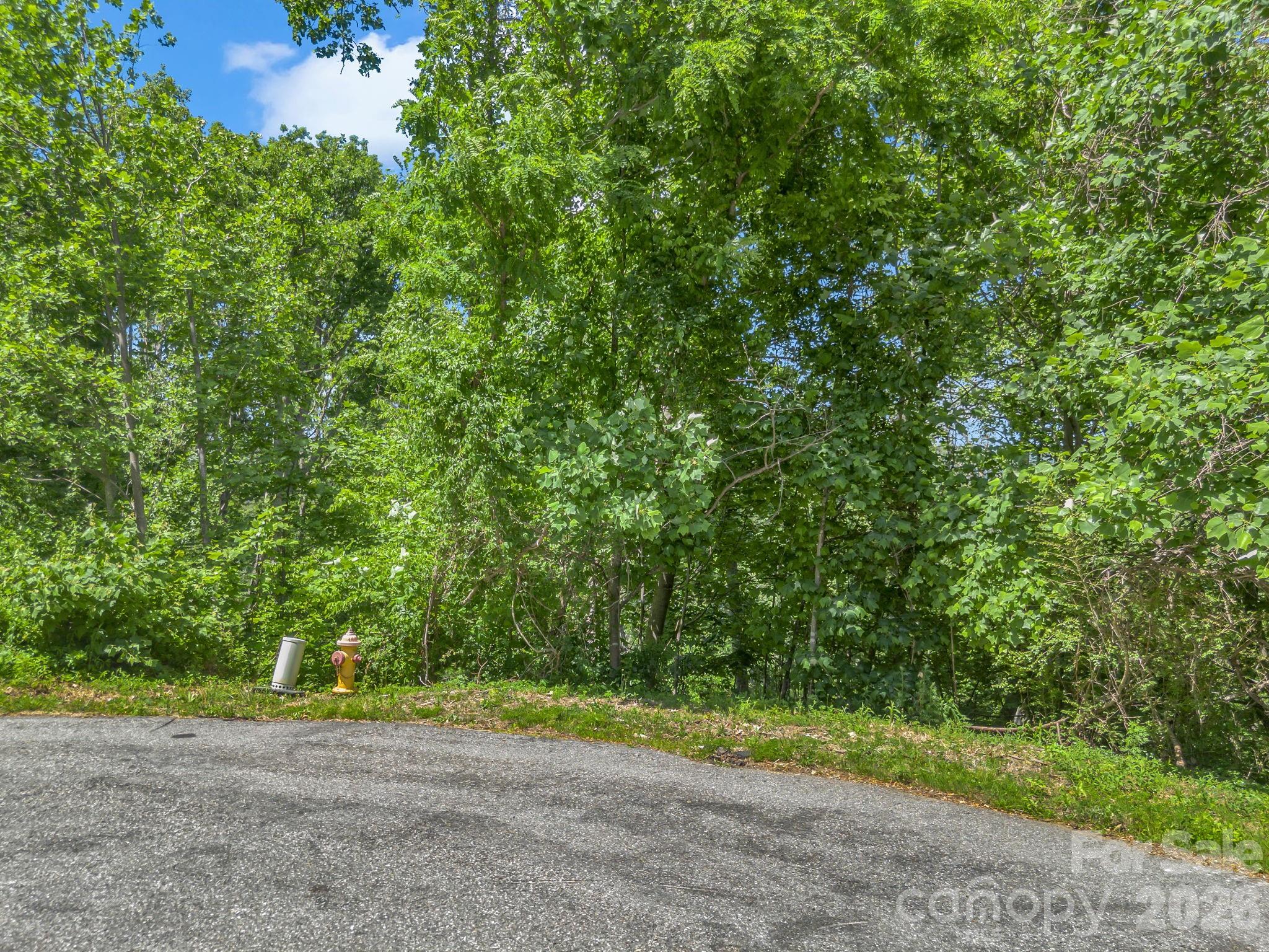 97 Longspur Lane Asheville NC 28804