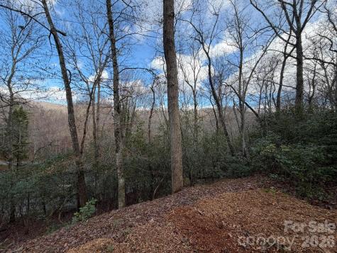 70 Crescent Ridge Franklin NC 28734