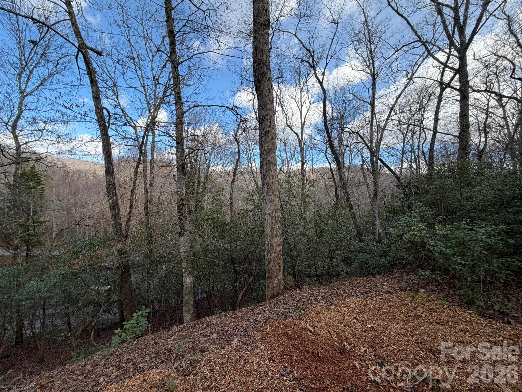 70 Crescent Ridge Franklin NC 28734