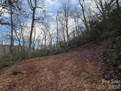 70 Crescent Ridge Franklin NC 28734