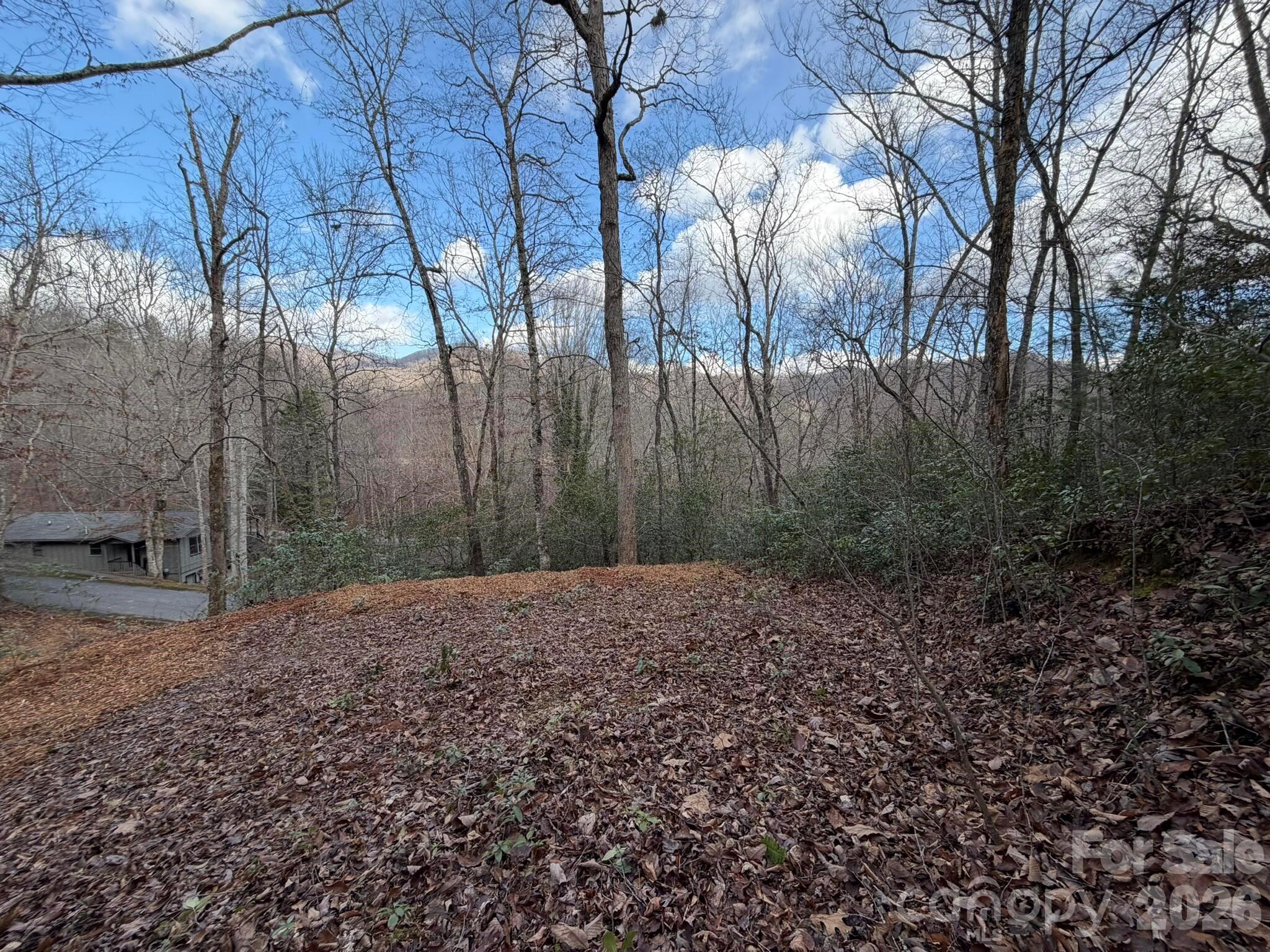 70 Crescent Ridge Franklin NC 28734