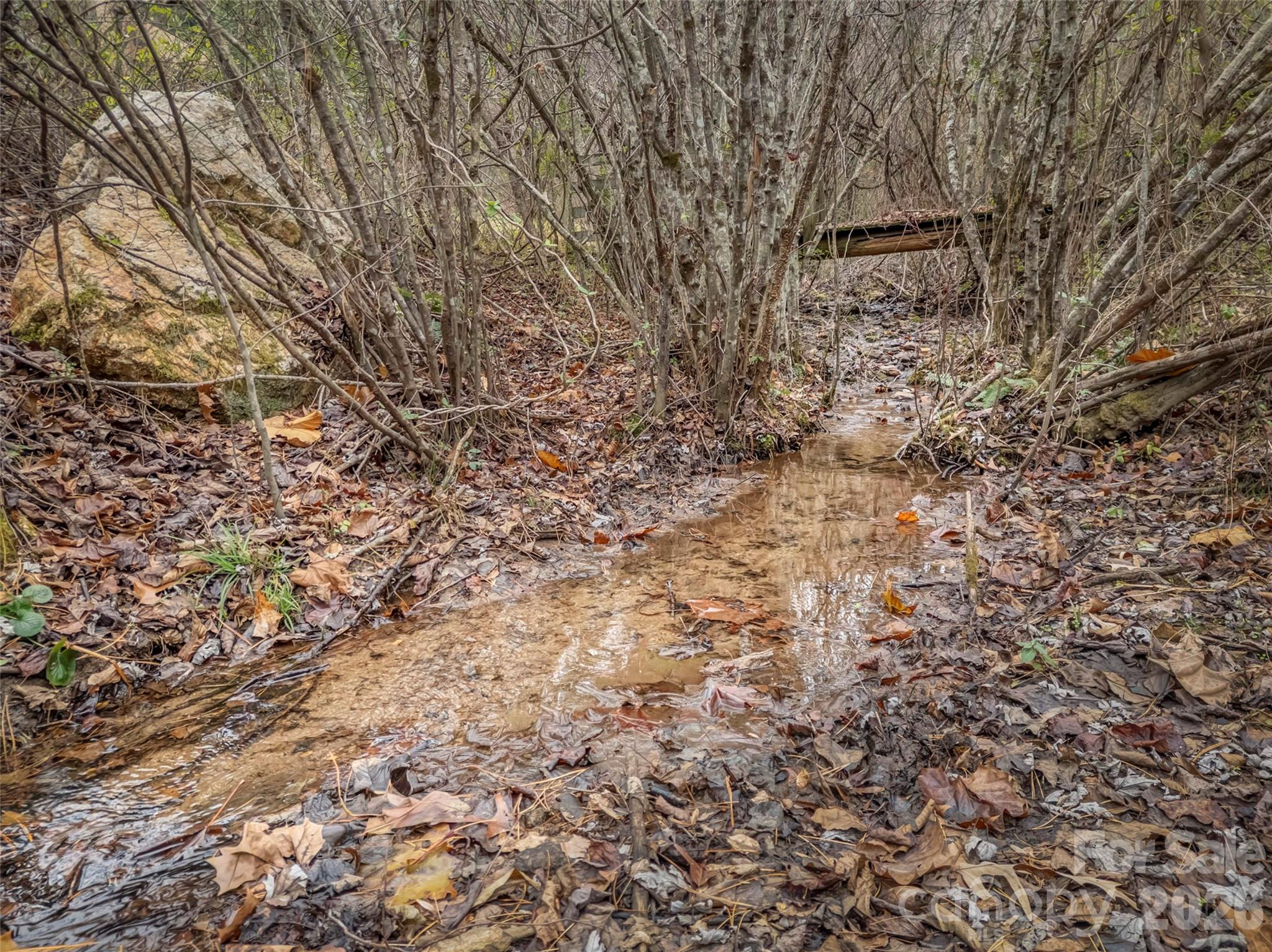 896 Newfound Road Leicester NC 28748