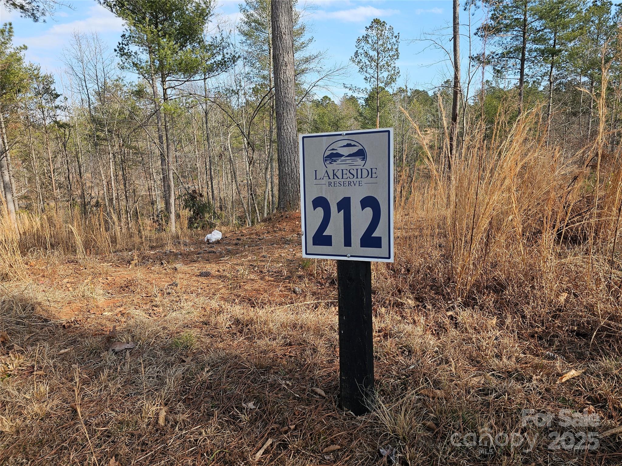3318 Pyramid Peak Trail Connelly Springs NC 28612