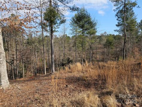3318 Pyramid Peak Trail Connelly Springs NC 28612