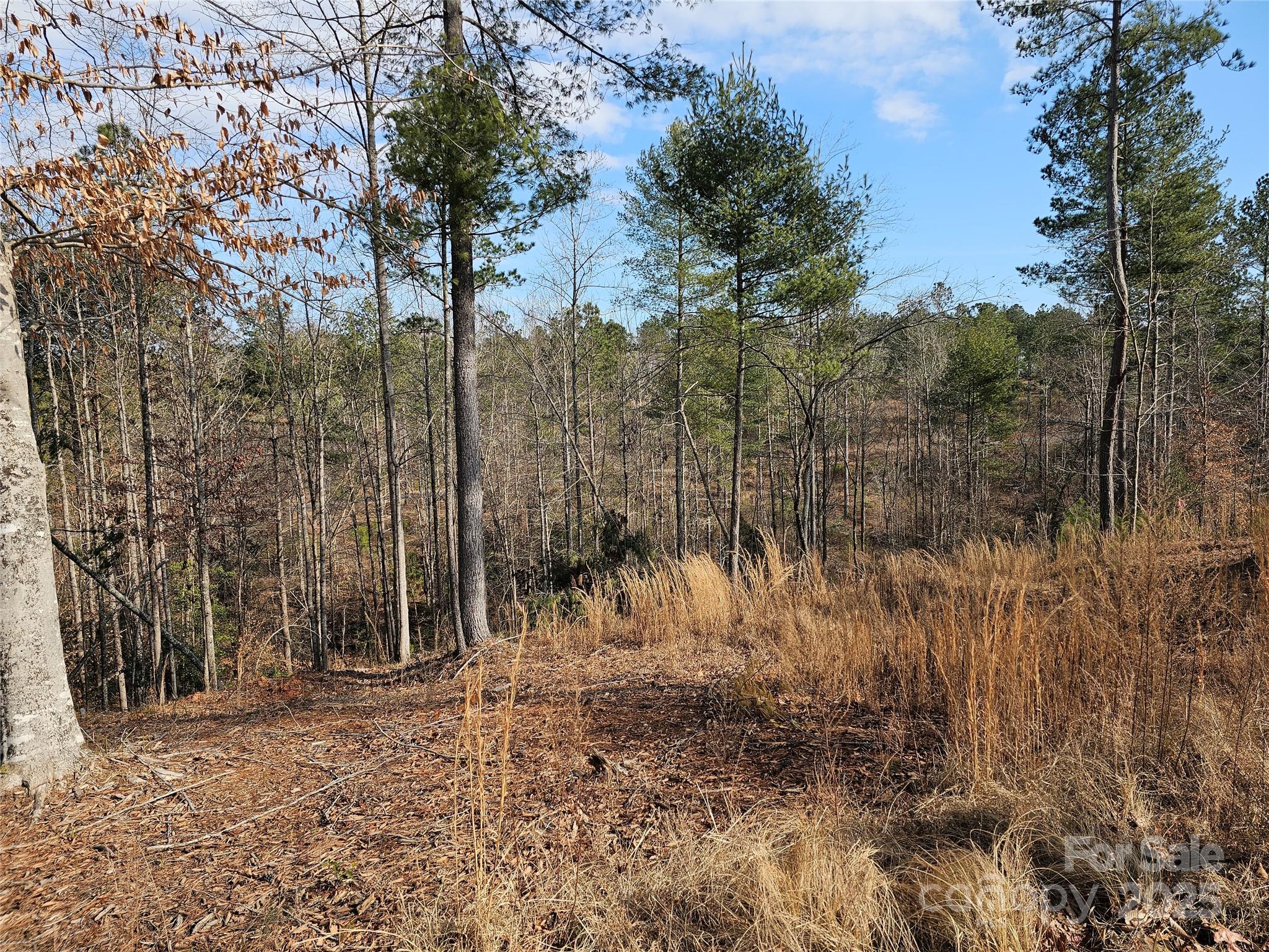 3318 Pyramid Peak Trail Connelly Springs NC 28612
