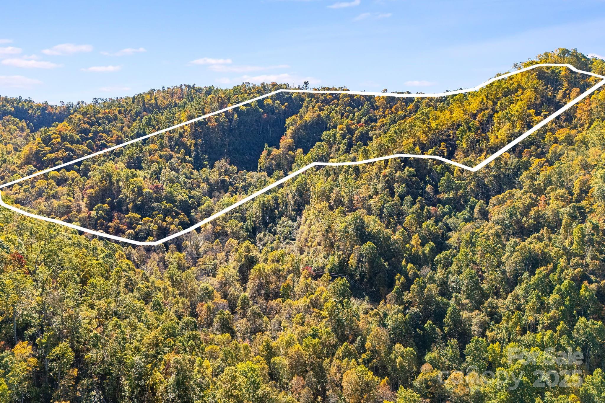 000 Hamburg Road Mars Hill NC 28754