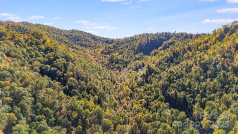 000 Hamburg Road Mars Hill NC 28754