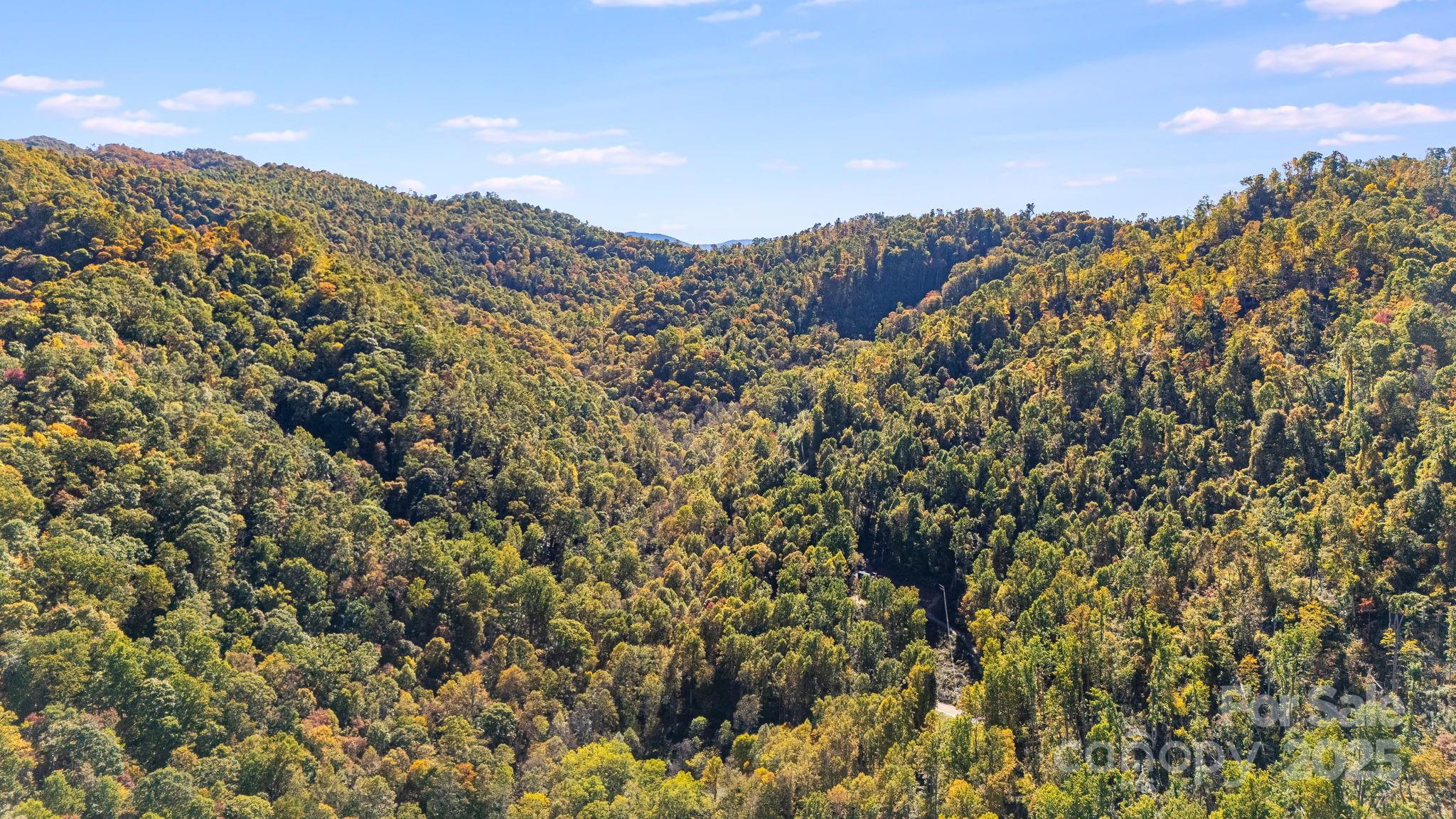 000 Hamburg Road Mars Hill NC 28754