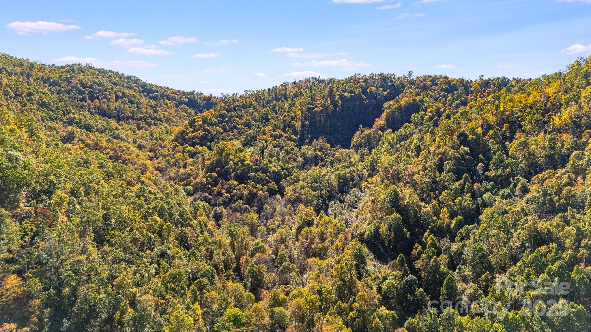000 Hamburg Road Mars Hill NC 28754
