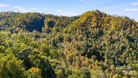 000 Hamburg Road Mars Hill NC 28754