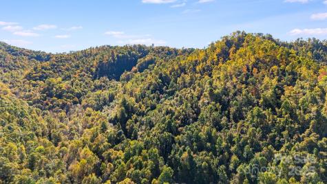 000 Hamburg Road Mars Hill NC 28754