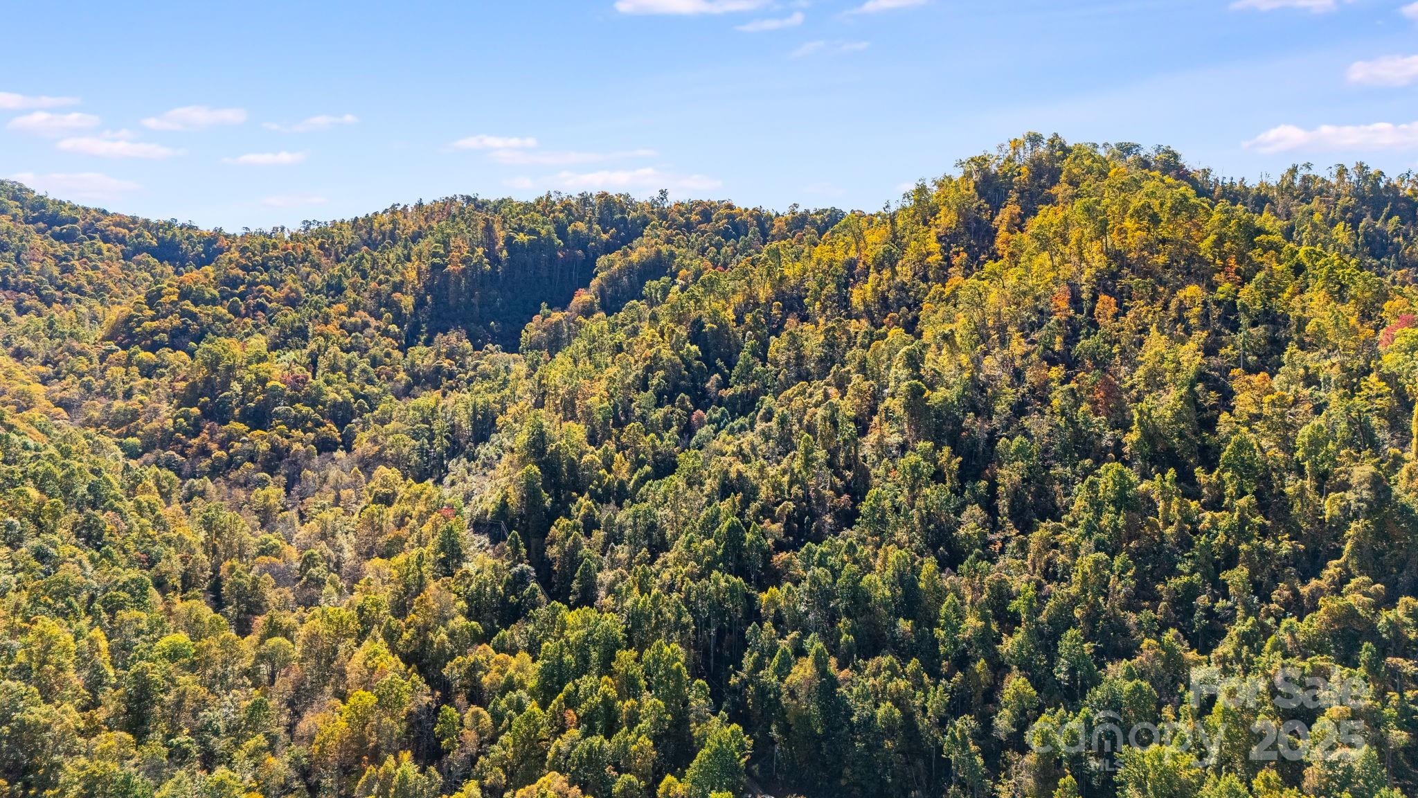 000 Hamburg Road Mars Hill NC 28754
