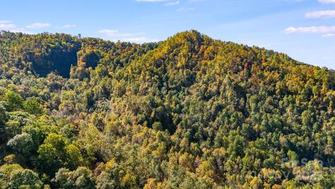 000 Hamburg Road Mars Hill NC 28754