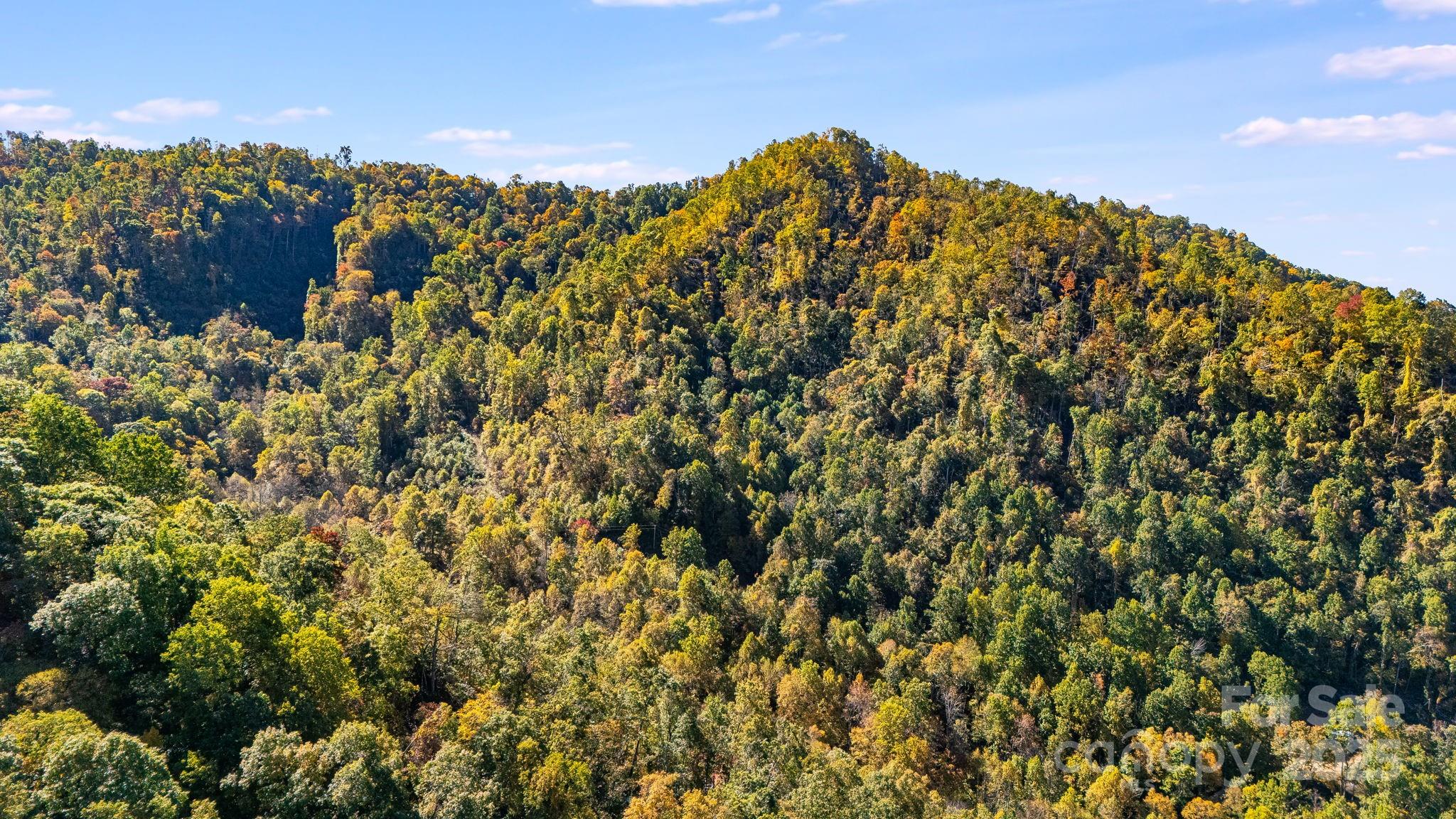 000 Hamburg Road Mars Hill NC 28754
