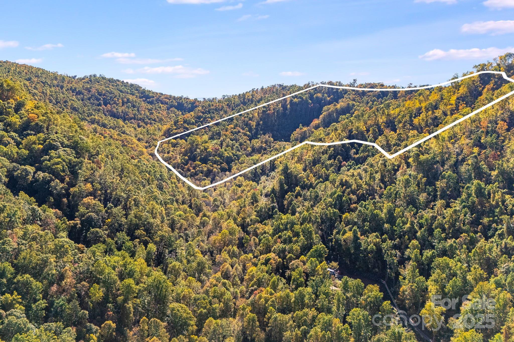 000 Hamburg Road Mars Hill NC 28754