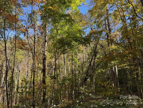 000 Hamburg Road Mars Hill NC 28754