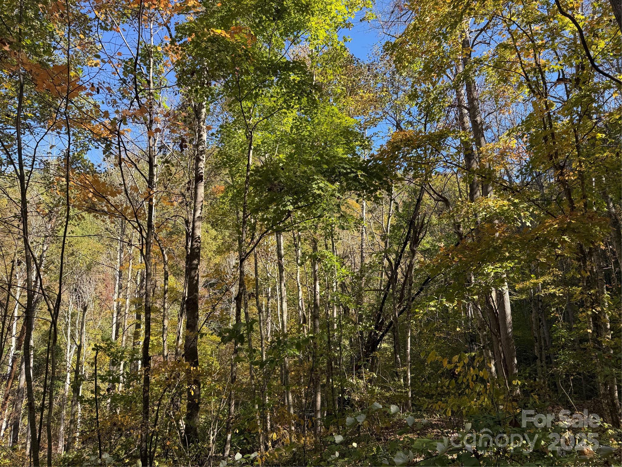 000 Hamburg Road Mars Hill NC 28754