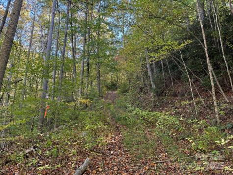 000 Hamburg Road Mars Hill NC 28754