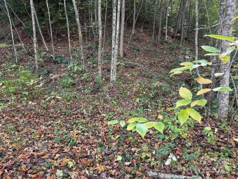 000 Hamburg Road Mars Hill NC 28754