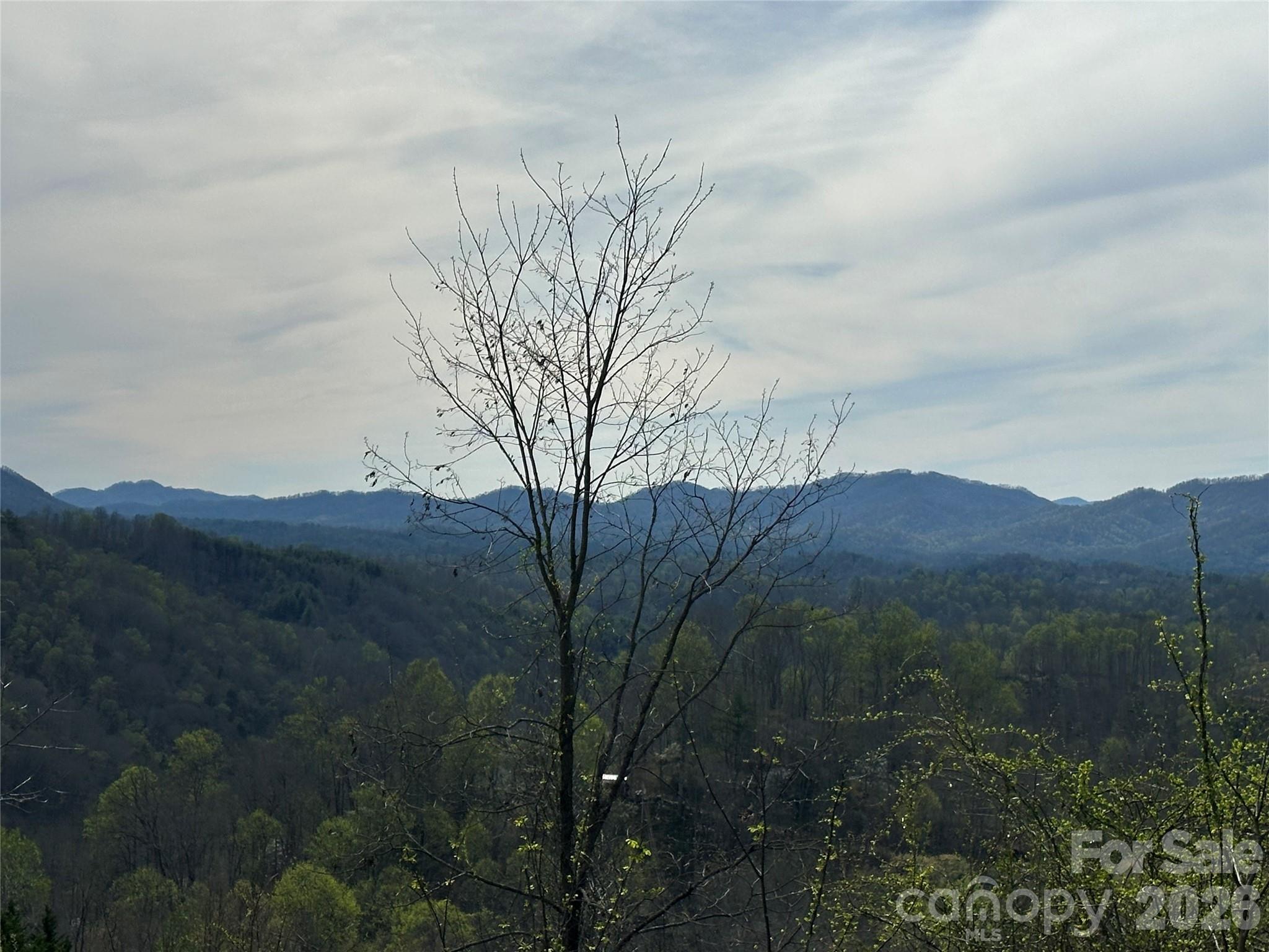 000 Sunset Mountain Road Bakersville NC 28705