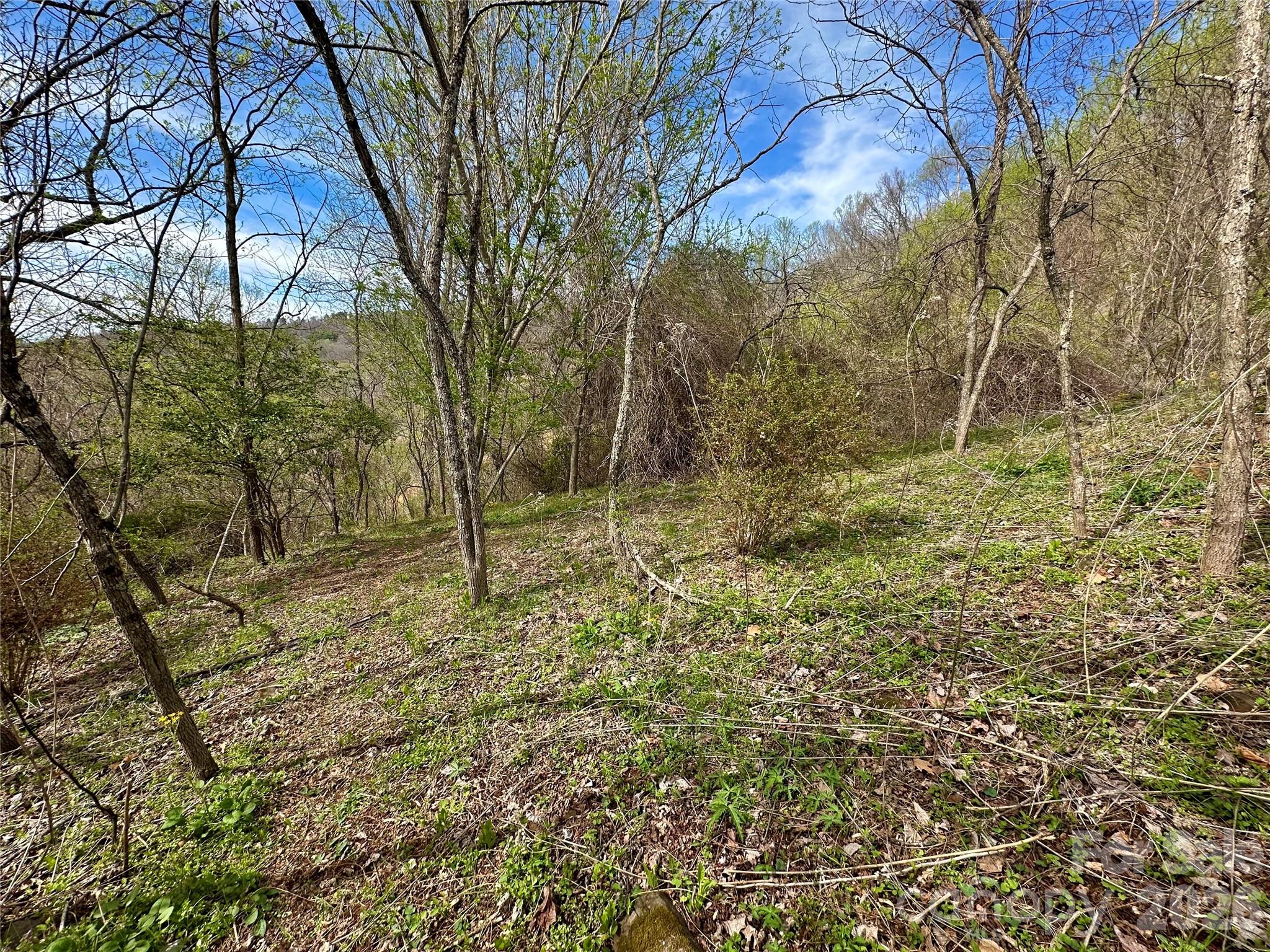 000 Sunset Mountain Road Bakersville NC 28705