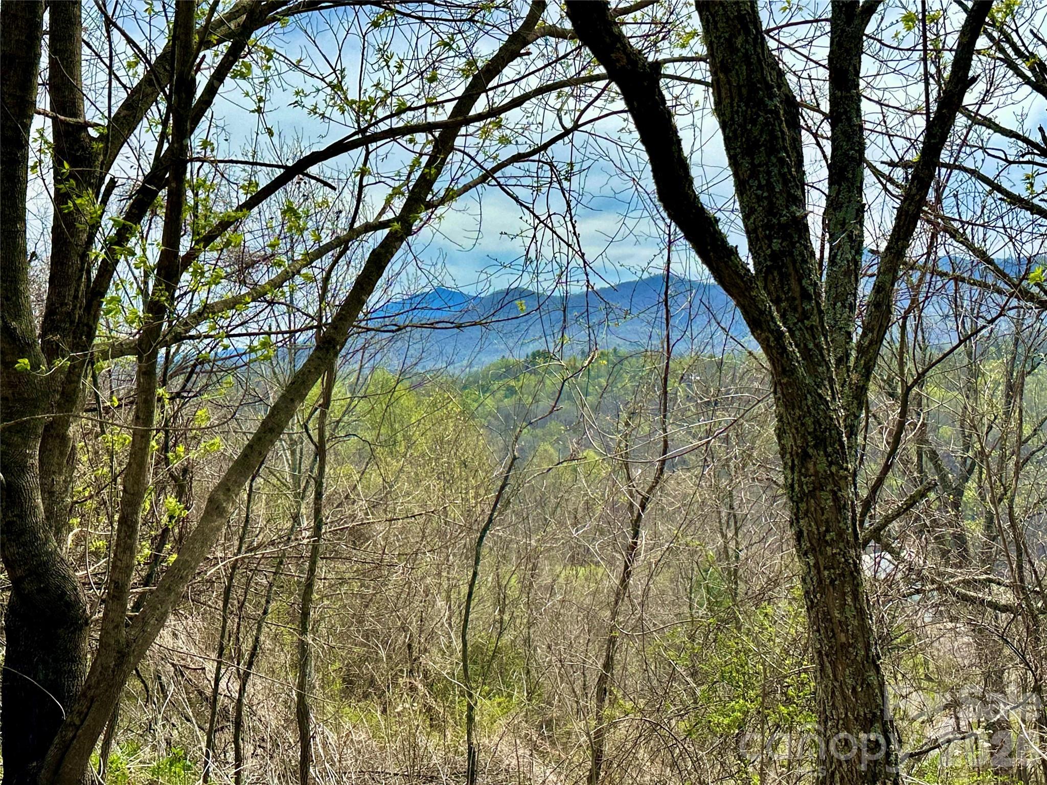000 Sunset Mountain Road Bakersville NC 28705