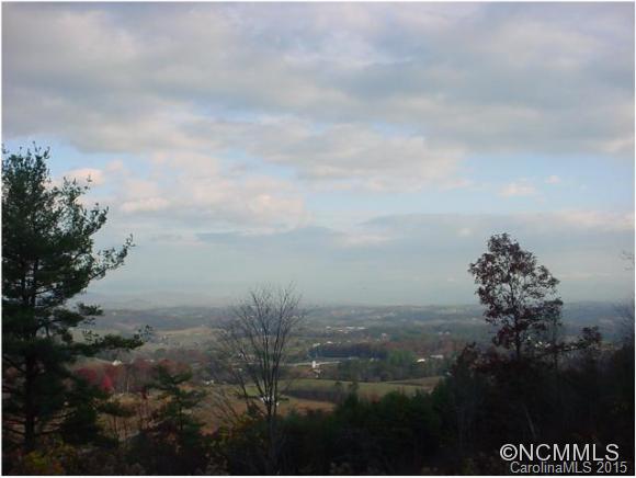 88 Mountain Holly Drive Leicester NC 28748
