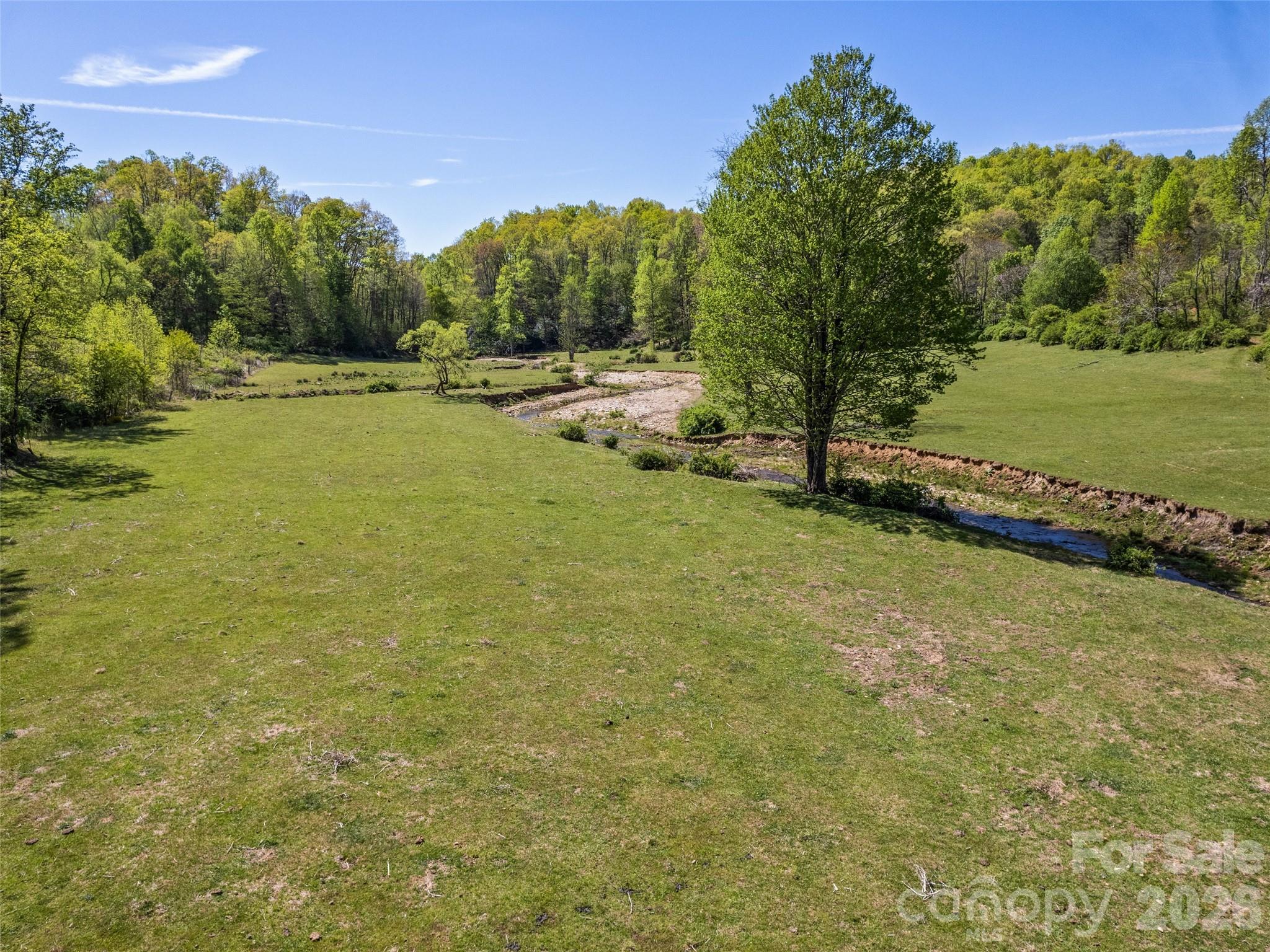 1372 Sand Branch Road Black Mountain NC 28711