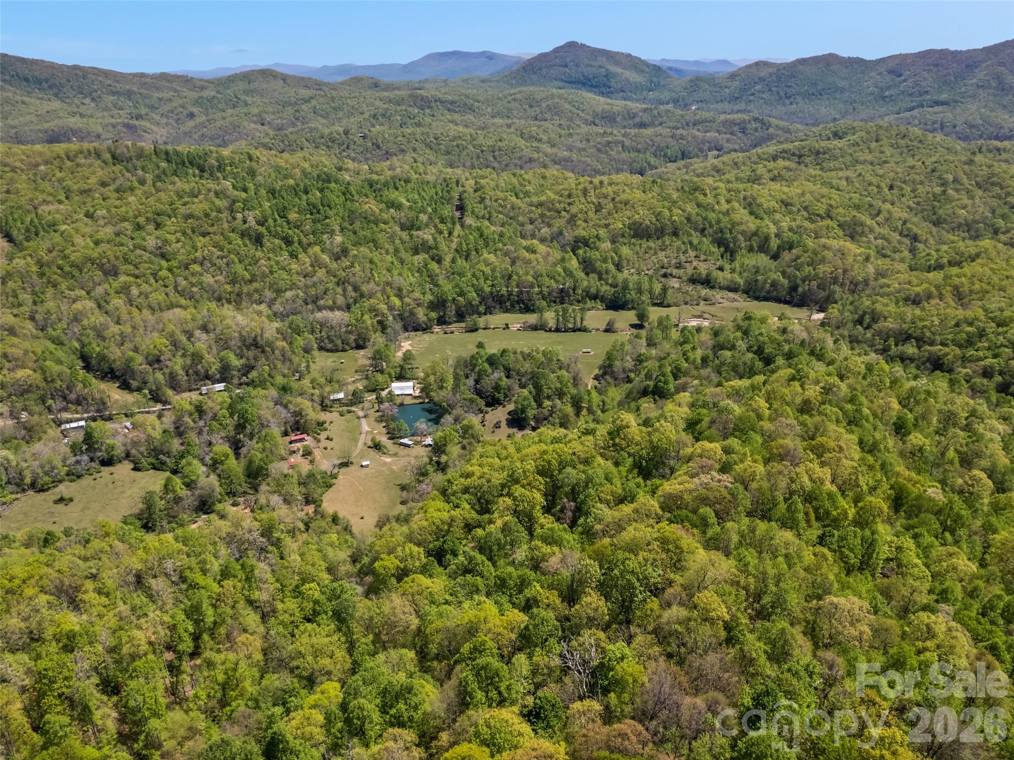 1372 Sand Branch Road Black Mountain NC 28711