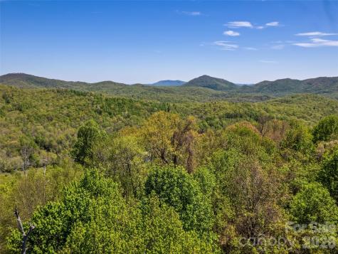 1372 Sand Branch Road Black Mountain NC 28711