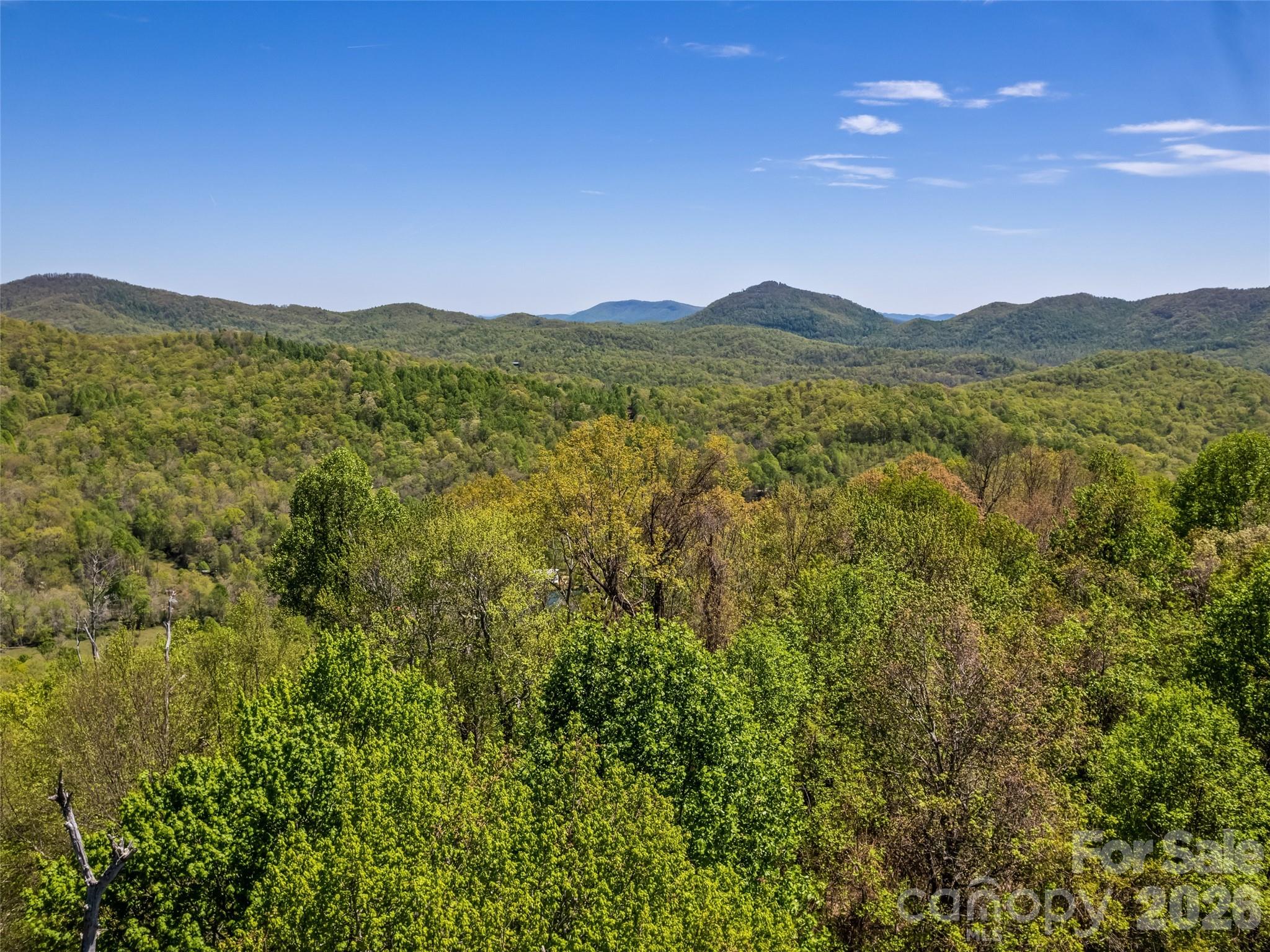 1372 Sand Branch Road Black Mountain NC 28711