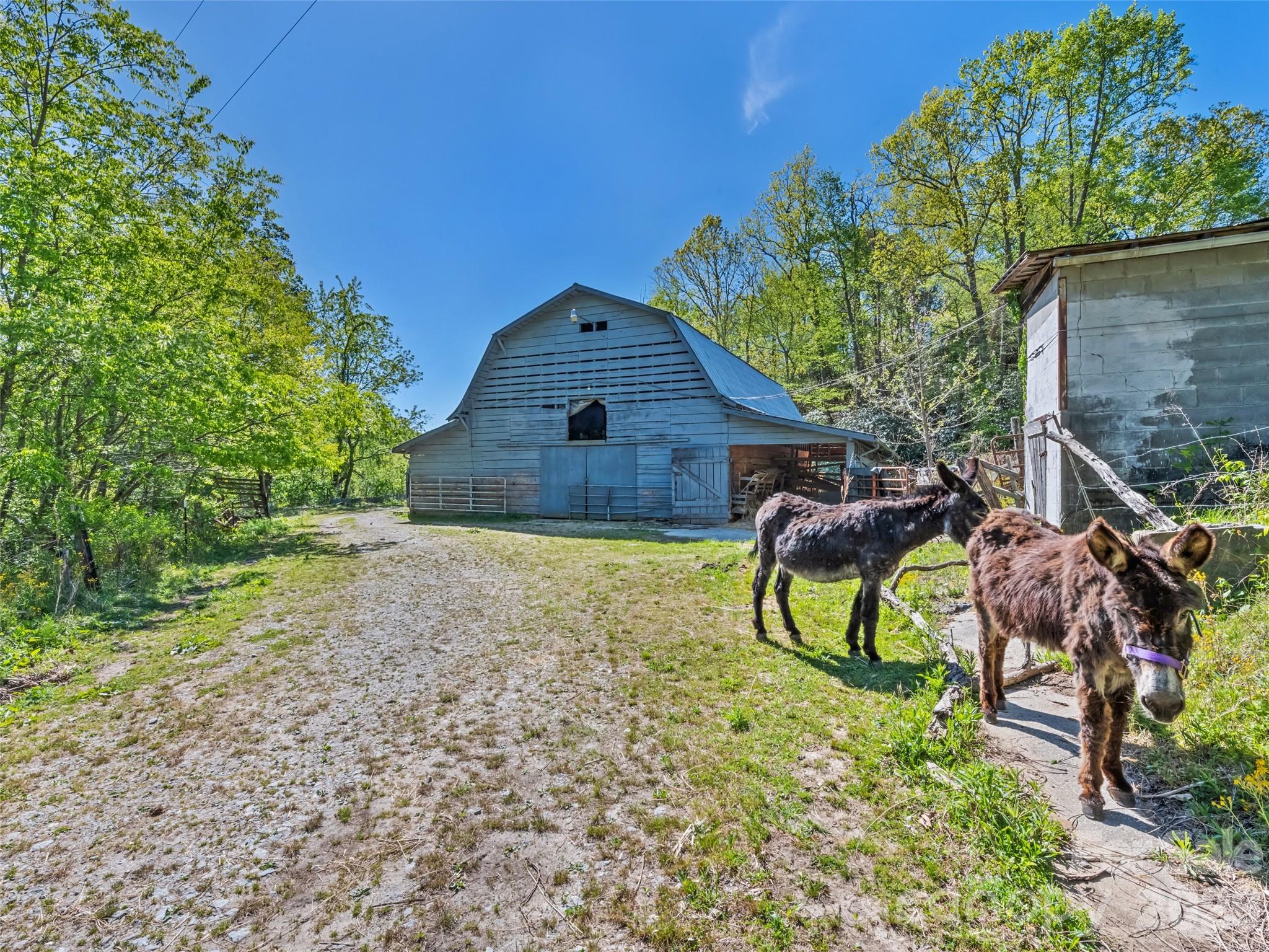 1372 Sand Branch Road Black Mountain NC 28711